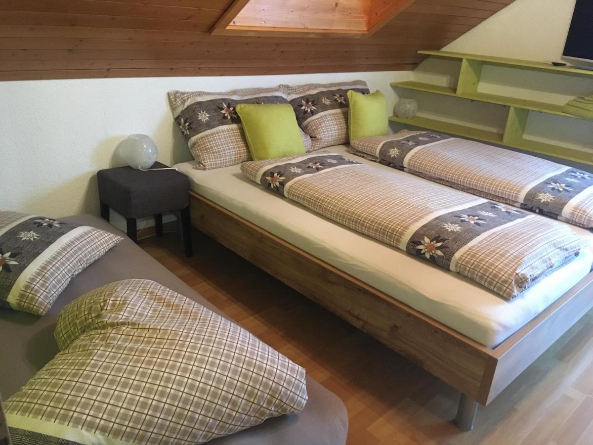 Pension Chalet Charme Siebnen Экстерьер фото